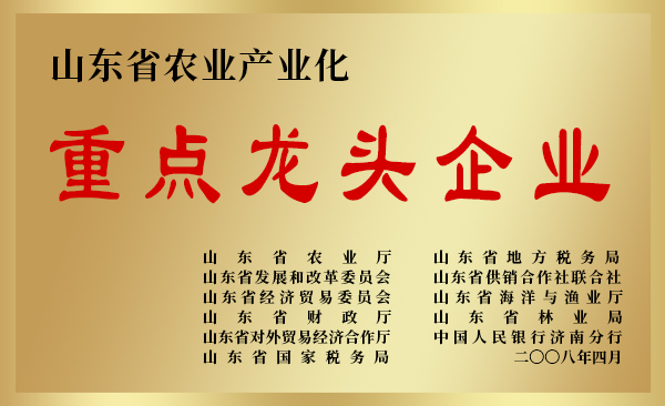 重點(diǎn)龍頭企業(yè)